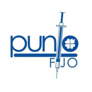 Logo Punto Fijo